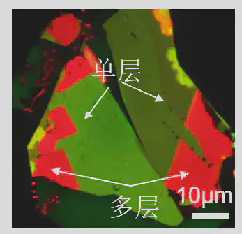 图为荧光显微镜下二维苝衍生物分子晶体的“真实面貌”(Nat Commun 10, 5589, 2019)