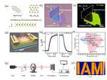 《激光与光子学评论》（Laser & Photonics Reviews）、《应用物理学快报》 (Applied Physics Letters)刊发高丽教授团队关于二维异质结光电/存储器件最新进展