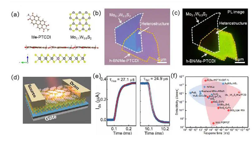 《激光与光子学评论》（Laser & Photonics Reviews）、《应用物理学快报》 (Applied Physics Letters)刊发高丽教授团队关于二维异质结光电/存储器件最新进展